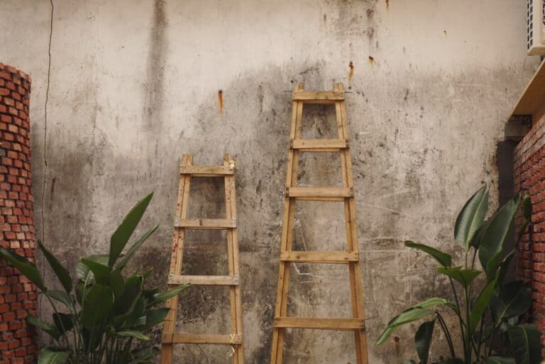 neville goddard ladder technique